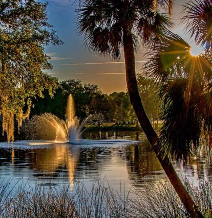 water fountain in the middle of a pond